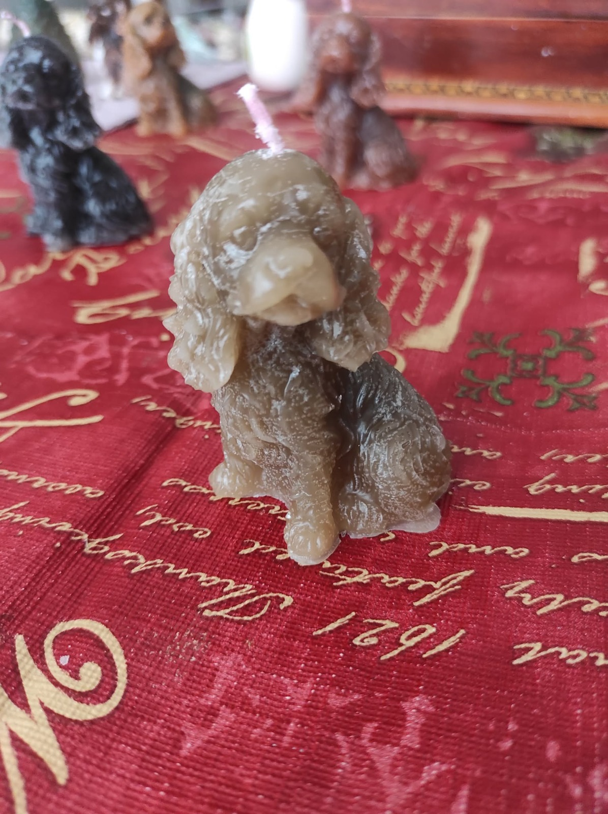 vela de perrito gris-cafe